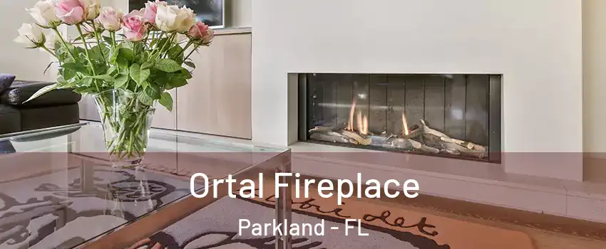  Ortal Fireplace Parkland - FL