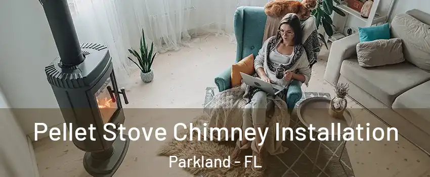  Pellet Stove Chimney Installation Parkland - FL
