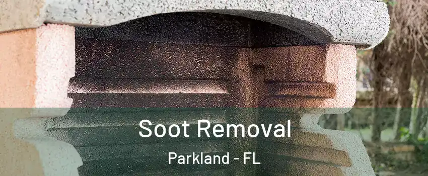  Soot Removal Parkland - FL