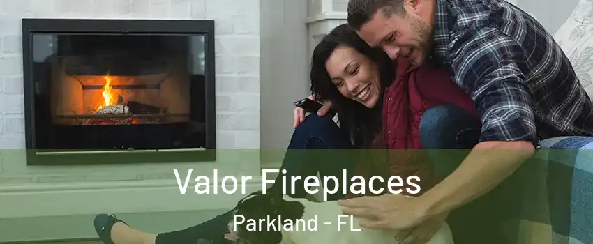  Valor Fireplaces Parkland - FL