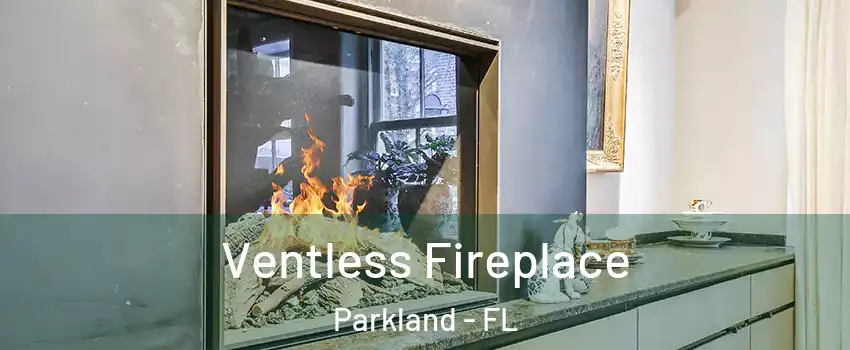  Ventless Fireplace Parkland - FL