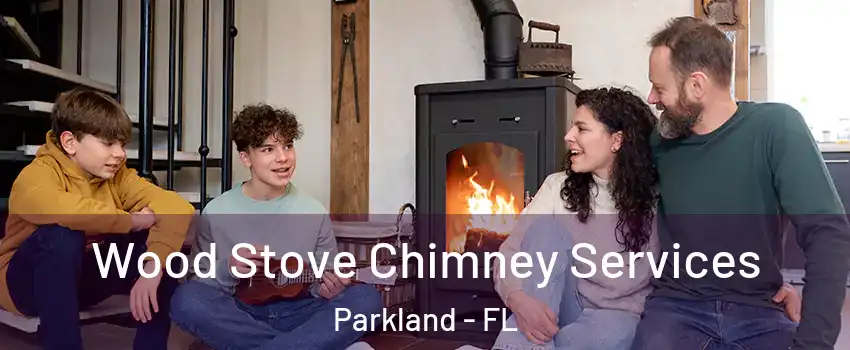  Wood Stove Chimney Services Parkland - FL