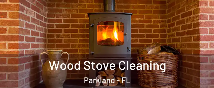  Wood Stove Cleaning Parkland - FL